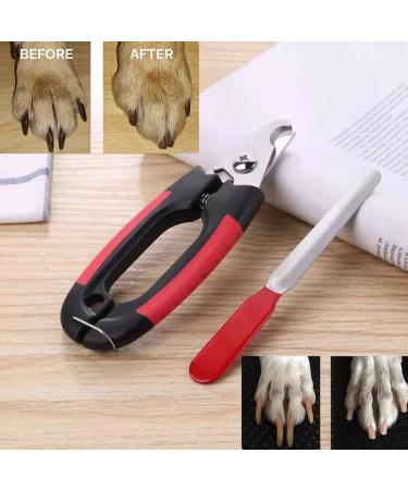 ZLXFT Nail Scissors for Dogs and Cats Rabbit Nail Scissors Stainless Steel Claw Clippers Claw Care Cutter for Pets Claw Care for Small Animals - Buy Online on SooperMarket.com
