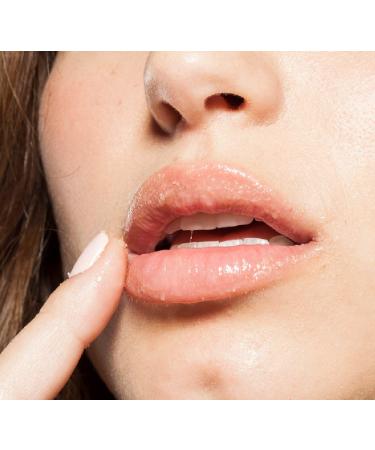FarmHouse Fresh Whoopie Lip Polish - Exfoliating and Hydrating Lip Scrub - Buy Online on SooperMarket.com