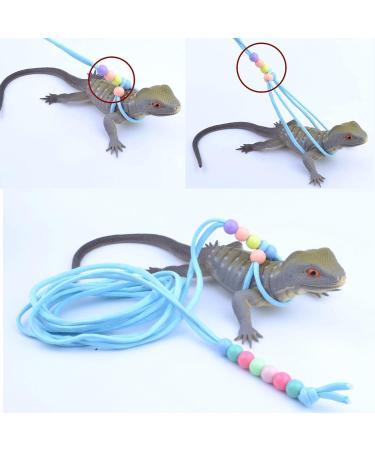 SHMLY 2-Piece Adjustable Leash & Harness for Lizards Hamsters Guinea Pigs & Small Pets - Blue & Pink - Buy Online on SooperMarket.com