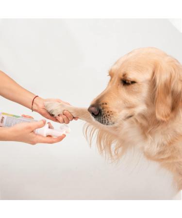 Nobleza Dry Foam Shampoo for Dogs Cats & Rabbits - Lavender 250ml | Ideal After Walks & Before Bed for Kittens & Puppies - Buy Online on SooperMarket.com