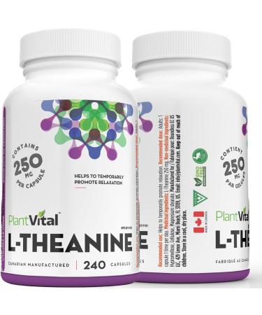 PlantVital High Potency L-Theanine 250mg Capsules - 240 Count - L Theanine Supplement for Relaxation and Stress Management Non-GMO Made in Canada - L-Theanine Supplements 8 Month Supply 240 count (Pack of 1) - Buy Online on SooperMarket.com