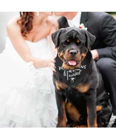 WLLHYF My Humans are Getting Married She Said Yes Dog Bandana Pets Scarf Triangle Bibs Kerchief Set Wedding Photo Prop Decoration Pet Costume Accessories for Dog Lovers Small Medium Large Dogs Cats - Buy Online on SooperMarket.com