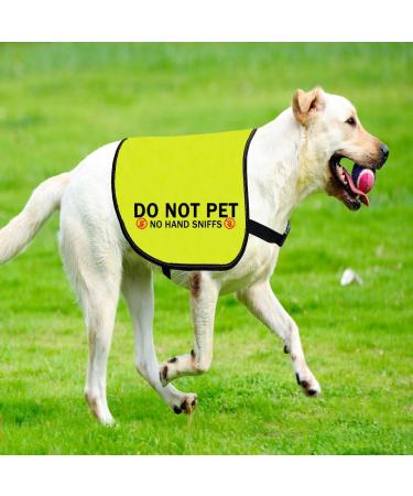 Do Not Pet No Hand Sniffs Dog Jacket Vest Nervous Anxious Dog Slogan Warning Vest (NO HAND SNIFFS Medium) NO HAND SNIFFS M EU - Buy Online on SooperMarket.com