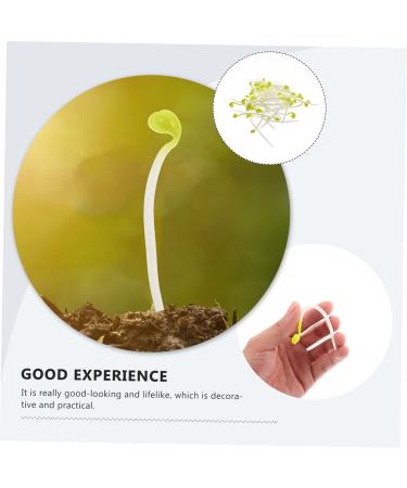 Alipis 100 Pcs Bean Sprouts Toy Small Plant Lifelike Bean Sprout Decoration for Home Faux Plants Delicate Bean Sprout Food Decor Wedding Decor Fruit Toys Pvc Artificial Household Products - Buy Online on SooperMarket.com