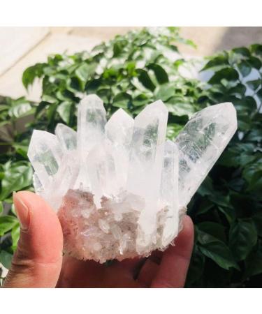350g-900g Natural Clear Quartz Stone White Crystal Cluster 1pc HOMEZHOU (Color : 1pc 510g-560g) - Buy Online on SooperMarket.com