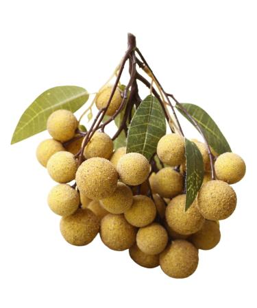 Ciieeo Doll House Diy Toy Fake Longyan Model Kitchen Fruit Longan Model Fruit Photography Props Fake Longan Decor Simulation Fruit Simulation Fake Fruit Faux Fruit Plastic Peach Miniature Khaki 18x18cm