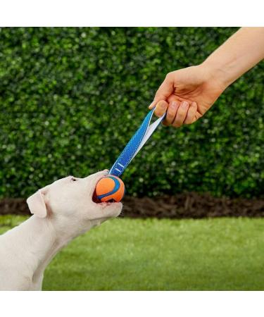 Buy Chuckit! Ultra Tug Small - Durable Toy for Dogs | Orange/Blue - International Shipping Available - Buy Online on SooperMarket.com