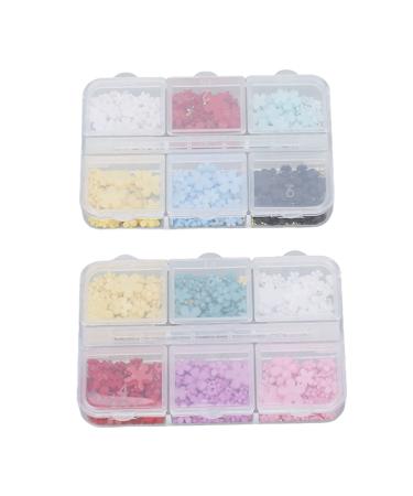 2 Boxes Nail Flowers 3D Nail Rhinestone Flower Flower Nail Charms Resin with 12 Grids DIY Nail Art Decoration Rhinestones Decals for Nail Art Beauty