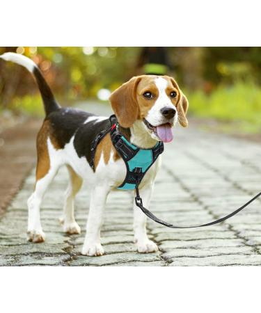 POPOT No-Pull Dog Harness - Reflective Pet Vest for Daily Training & Walking - Mint Blue (L) - Buy Online on SooperMarket.com