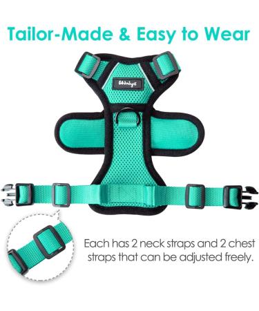 Breakproof Cat Leash Set & Adjustable Soft Kitten Vest with Reflective Stripes - Green Small Cat Dishes for Kittens - Buy Online on SooperMarket.com