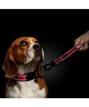 PLUTUS PET Strong Training Dog Lead with Rock Climing Carabiner Clip Relective Nylon Dog leash Padded Handle Training Lead for Large and Medium Dogs(25cm Red) 25 cm (Pack of 1) Red - Buy Online on SooperMarket.com