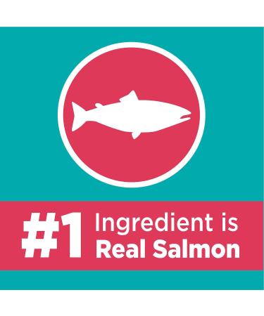 IAMS Proactive Health Dry Cat Food Adult - Indoor Weight & Hairball Care with Salmon 1.59kg Bag 1.59 kg (Pack of 1) Cat Food - Buy Online on SooperMarket.com
