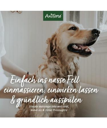 AniForte Fellharmonie Dog Shampoo Sensitive with Aloe Vera 200ml - Gentle Care for Sensitive Dogs Easy-Combing Fur Dye & Perfume-Free - Buy Online on SooperMarket.com