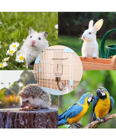 FZLANQ 1 PCS Rabbit Water Bottle Portable Guinea pig water bottle Water Bottle Feeder Hamster water bottle Hanging Water Drinking Feeder Dispenser for Guinea Pig Rabbit Chinchilla Bird Cat - Buy Online on SooperMarket.com