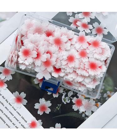 Hpory Edible Flower Cupcake Toppers 100 Pcs Cherry Blossoms Cake Topper Glutinous Rice Paper Happy Birthday Cake Toppers Flowers Cake Decorations for Birthday Wedding Celebration Party - Buy Online on SooperMarket.com