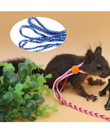 Hamster Harness Adjustable Small Pet Leash Outdoor Walking Training Lead with Bell Collar for Rat Mouse Squirrel 63.4-71.3inch(blue&purple) - Buy Online on SooperMarket.com