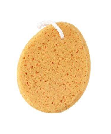 Angoily 5pcs Loofah Sponge Bath Sponge for Men Body Sponge Shower Exfoliating Loofah Shower Sponge Natural Bath Sponge Natural Sponge Shower Loofah Shower Ball Miss Household Bath Wipe 1 Count (Pack of 1)