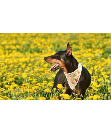 Lionet Paws Dog Bandana - Triangular Scarf for All Dog Sizes (Yellow Flower) - Stylish & Durable Headscarf for Pets - Buy Online on SooperMarket.com