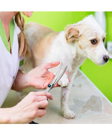 Jiasoval 4-in-1 Dog Grooming Kit with Safety Round Tip - Professional Scissors Set for Dogs & Cats - Includes Steel Comb and Leather Pouch - Buy Online on SooperMarket.com