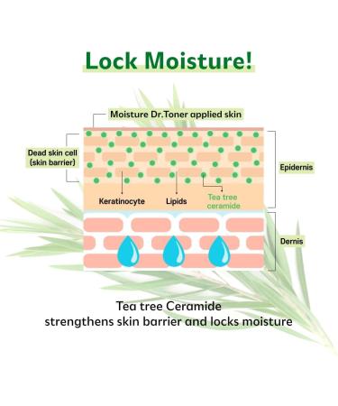 ISOI Moisture Dr. Soothing Toner 130ml | Hydrating Facial Toner with Tea Tree Ceramide & Hyaluronic Acid | Soothes & Strengthens Skin Barrier - International Shipping Available - Buy Online on SooperMarket.com
