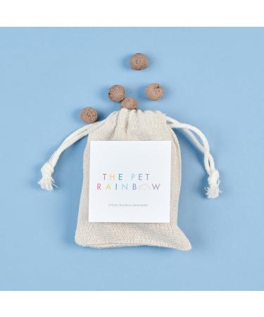 The Pet Rainbow | Small Animal Funeral Kit with Pet Coffin & Casket | For Hamsters, Guinea Pigs, Birds, Gerbils, Reptiles, Fish | Cardboard Coffins | Up to 6kg | 275mm x 150mm x 100mm - Buy Online on SooperMarket.com