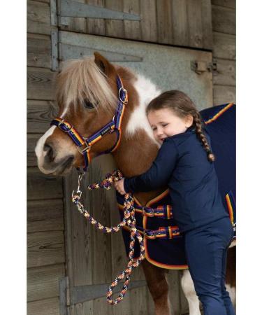 Cameo Equine Quality Padded Headcollar & Strong Leadrope - Comfortable & Stylish Rainbow Pony - Buy Online on SooperMarket.com