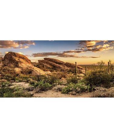AWERT Reptile Habitat Background Blue Sky Oasis Cactus Sun and Desert Terrarium Background 72x16 inches Durable Polyester Background 72x16in/180x40cm