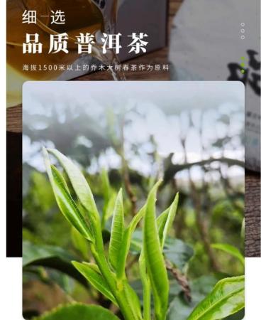 Pu-erh tea 2018 Shangpin 357g Raw - Buy Online on SooperMarket.com