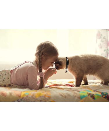 2PCS Breakaway Cat Collars with Bell - Adjustable Safe Kitten Collars - Glow in The Dark - Black&Purple - Buy Online on SooperMarket.com