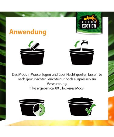 Buy Terra Exotica Sphagnum Moss (3x1 Kg) - Premium Peat Moss for Garden Houseplants & Terrariums - International Shipping Available - Buy Online on SooperMarket.com