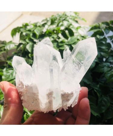 350g-900g Natural Clear Quartz Stone White Crystal Cluster 1pc HOMEZHOU (Color : 1pc 510g-560g) - Buy Online on SooperMarket.com