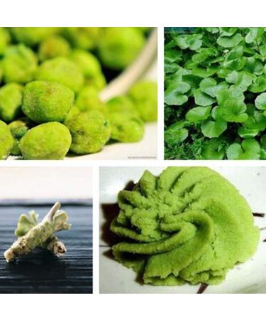 Portal Cool 100 Pz Wasabi Semi di rafano giapponese di Verdure Herb Spice DIY impianto Nizza