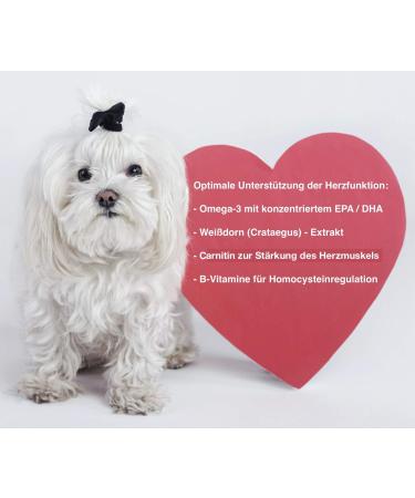 Canimove Doppelpack (200 Capsules) - Veterinary-Approved Support for Heart Function in Large Dog Breeds - Buy Online on SooperMarket.com