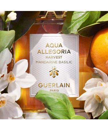GUERLAIN Aqua Allegoria Harvest Mandarine Basilic Eau De Toilette Spray for Women 4.2 Ounce - Buy Online on SooperMarket.com