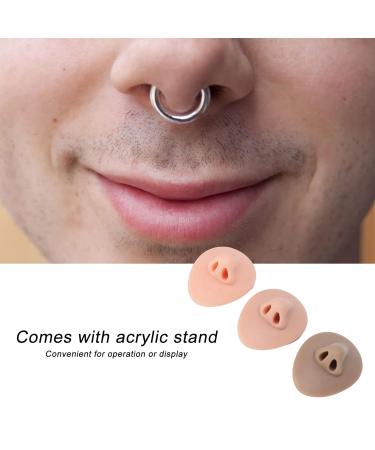 3-Part Silicone Nose Model for Piercing Practice | Soft 3D Display with Acrylic Stand - Buy Online on SooperMarket.com