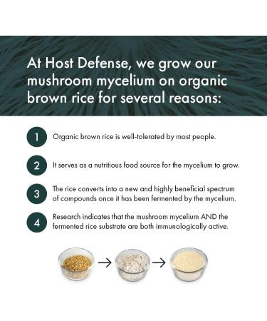 Host Defense Cordychi Reishi & Cordyceps Mushroom Complex Supplement 120 Capsules Immune Booster Support with 55% Polysaccharides & 1000mg Mushroom per Serving - Mushroom Blend Mushroom Supplements Mushroom Complex for Immune System Support 120 count (Pac - Buy Online on SooperMarket.com