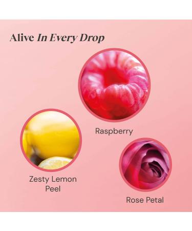 Twinings Raspberry & Lemon Tea Bags 20 each (Pack of 2) - Buy Online on SooperMarket.com