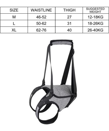 Buy Hamon Portable Dog Harness for Hind Legs | Ideal Lifting Aid for Older Sick or Post-Operative Dogs (M) - International Shipping Available - Buy Online on SooperMarket.com