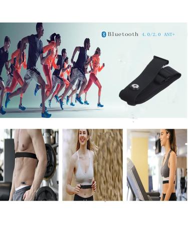 Buy Smallterm Wireless Heart Rate Monitor Chest Strap - Accurate Heart Rate Measurement for Sports - Buy Online on SooperMarket.com