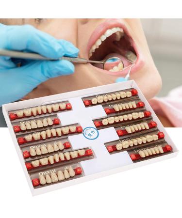Buy Complete Resin Dentures | High-Quality Artificial Teeth & Dental Supplies for International Shipping - Buy Online on SooperMarket.com