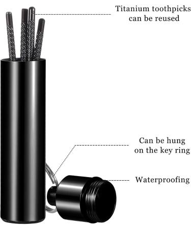 Portable Titanium Toothpicks Set - Reusable Metal Toothpicks with Holder for Outdoor Picnic & Camping - 2 Black Sets - Buy Online on SooperMarket.com