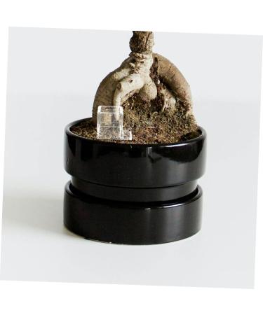 BESPORTBLE 2pcs Pet Water Feeder Insect Water Bowl Ants Drinking Tool Ants Water Feeding Ants Feed Bowl Plastic - Buy Online on SooperMarket.com