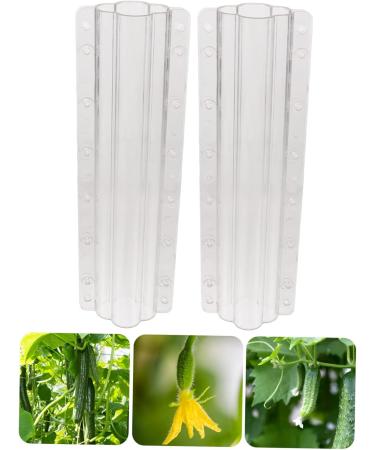 CIYODO 2pcs Vegetable Shaping Mold Cucumbers Cucumber Growing Mould Vegetable Growing Mold Accessories - Buy Online on SooperMarket.com