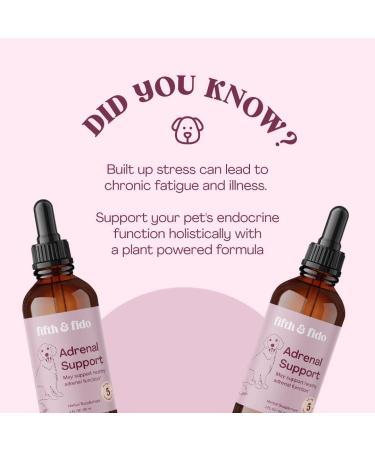 Dog Adrenal Support - Herbal Kidney & Cushings Treatment - 2 Fl Ounces - Buy Online on SooperMarket.com