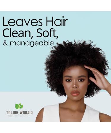 Taliah Waajid Scalp Care Follicle Therapy Shampoo | Natural Treatment for Thinning Hair & Hair Loss | Wild Sea Moss Rosemary & Aloe | 8oz - Buy Online on SooperMarket.com