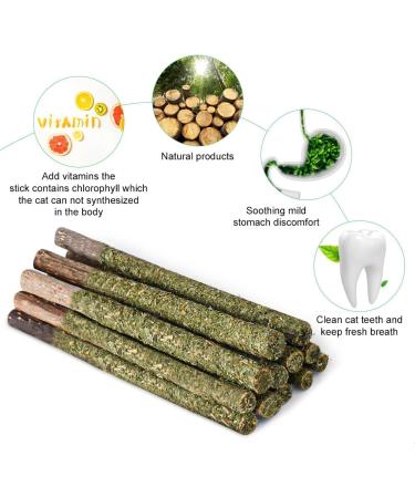 OSDUE 12PCS Cat Catnip Sticks Catnip Toys for Cats Teething Toys Cat Chew Toy Teeth Clean Chewing Grindin for Cat Kitten Kitty Natural Wood Sticks for Cats Play and Relax A-12 PCS Cat Catnip Sticks - Buy Online on SooperMarket.com