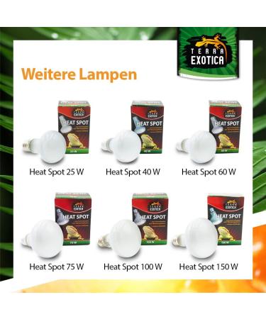 Terra Exotica 75W Heat Spot Bulb for Reptiles - 3 Pack Terrarium Lighting - Optimal Heat for Reptile Habitats - 25W 40W 60W 100W 150W Options Available - Buy Online on SooperMarket.com