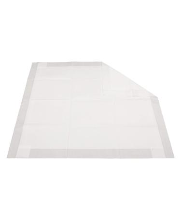 Danco 10957P Protect-It Multi-Purpose Disposable Non-Slip Drop Cloth, Arts & Crafts Splat Mat, Table Top Mat for Kids Painting, Oil Absorbent Pad, Baby Changing Pad, 10 Pk