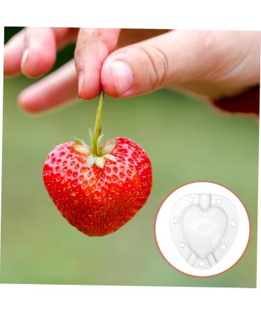 POPETPOP 10 Pcs Fruit Shaping Fruit Plastic Fruit Watermelon White Gardening Supplies 4.5x4cmx2pcs Whitex2pcs - Buy Online on SooperMarket.com