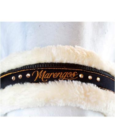Shop Marengos Halter Set with Lead Rope - Elegant Black/Rose Gold for Warmbloods | International Shipping Available - Buy Online on SooperMarket.com